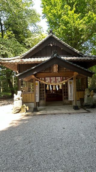 乙姫神社の参拝記録(いいちこさん)