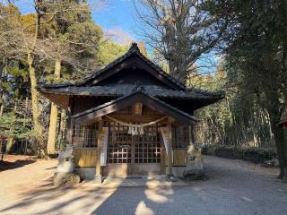 乙姫神社の参拝記録(ドラゴンさん)