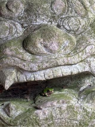 乙姫神社の参拝記録(synergyosakaさん)