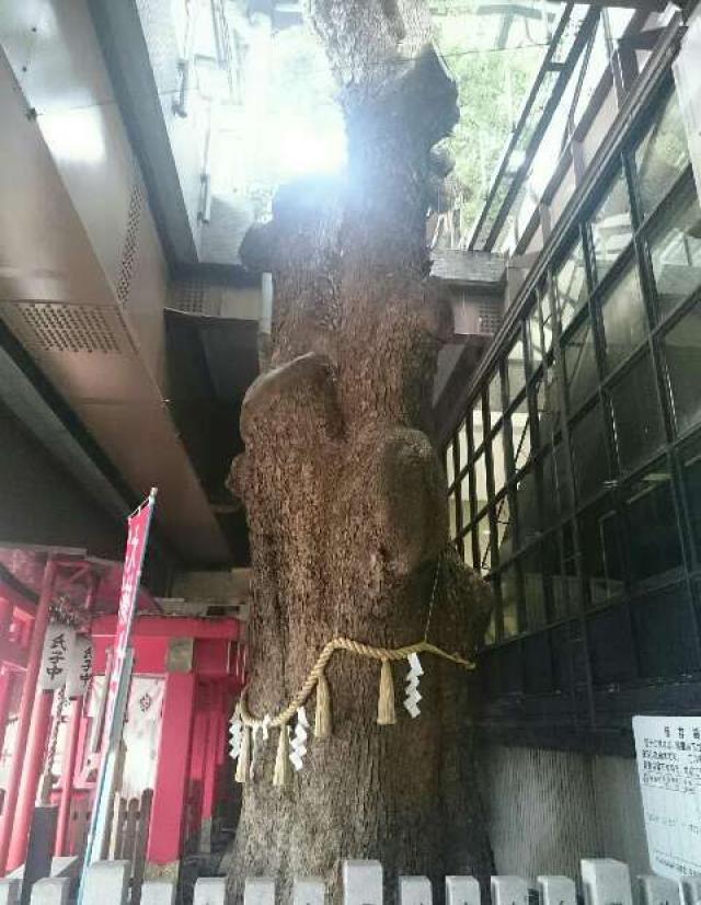 大阪府寝屋川市萱島本町19-1 萱島神社の写真2