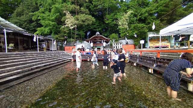 京都府京都市左京区下鴨泉川町59番地 井上社（御手洗社）（下鴨神社末社）の写真4