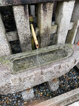 井上社（御手洗社）（下鴨神社末社）の参拝記録(⛩️🐉🐢まめ🐢🐉⛩️さん)