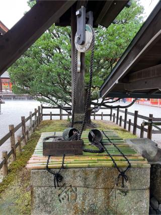出雲井於神社（比良木社）（下鴨神社摂社）の参拝記録(⛩️🐍🐢まめ🐢🐍⛩️さん)