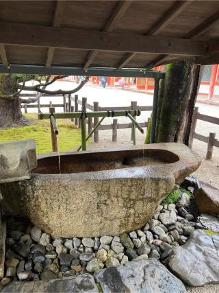出雲井於神社（比良木社）（下鴨神社摂社）の参拝記録(⛩️🐍🐢まめ🐢🐍⛩️さん)