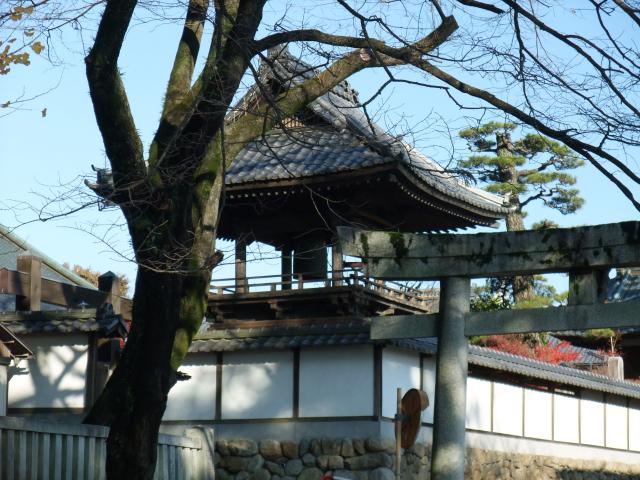 長野県飯田市宮の前4246-1 大宮諏訪神社(飯田大宮諏訪神社)の写真6