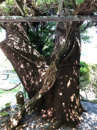 富田神社の参拝記録(ようさん)