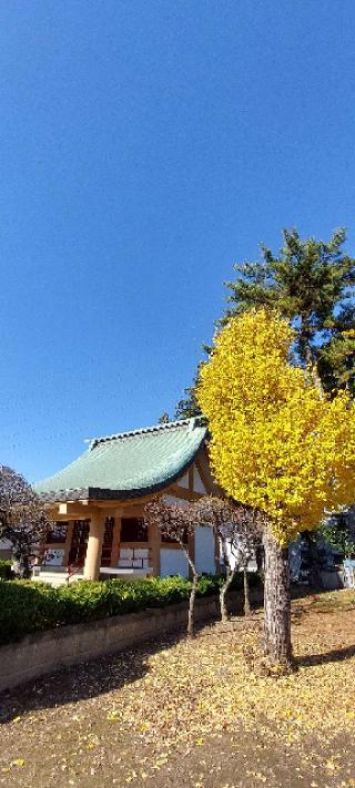 天神社の参拝記録(まーぼーさん)