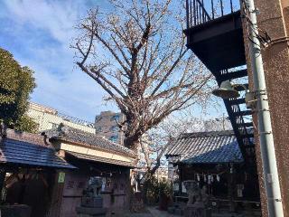 高砂八幡神社の参拝記録(しんのすけさん)