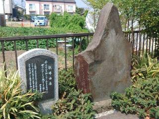 三柱神社の参拝記録(しんのすけさん)