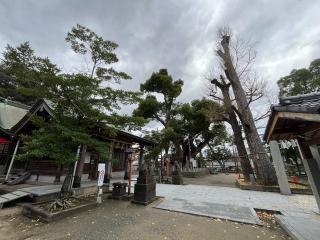 老松神社の参拝記録(みんきちさん)