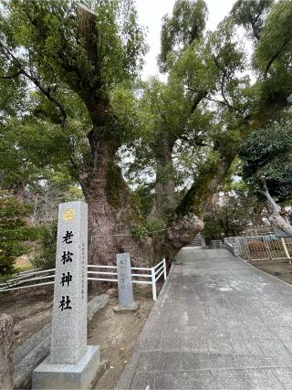 老松神社の参拝記録(みんきちさん)