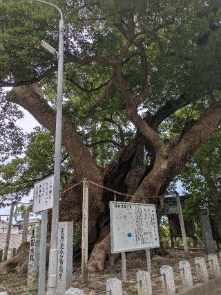 老松神社の参拝記録(シキさん)