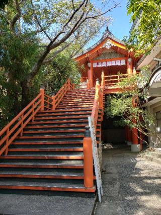 宮地嶽神社の参拝記録(風祭すぅさん)