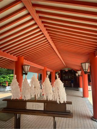 宮地嶽神社の参拝記録(こうじさん)
