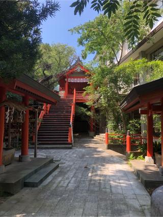 宮地嶽神社の参拝記録(ようさん)