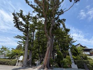 相馬太田神社の参拝記録(いっくんさん)