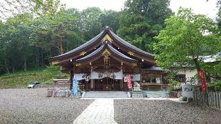 綿津見神社の参拝記録(猫狂さん)