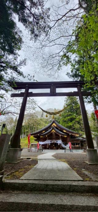 綿津見神社の参拝記録(®️さん)
