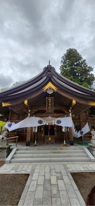 綿津見神社の参拝記録(®️さん)