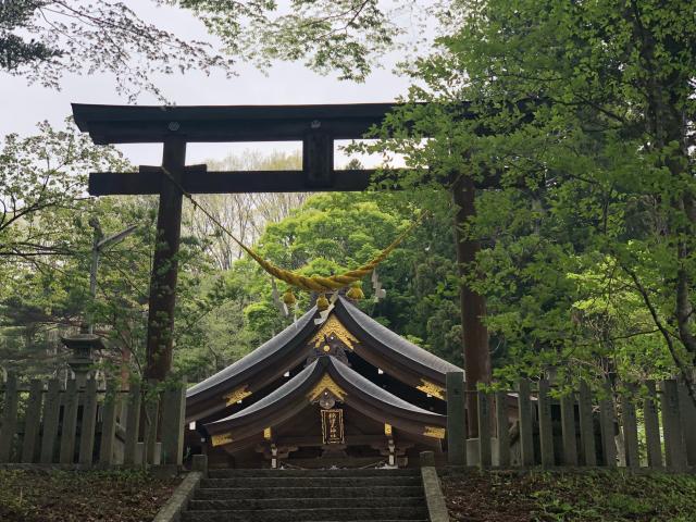 福島県相馬郡飯舘村草野字宮内 綿津見神社の写真3