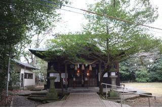 住吉神社の参拝記録(ドラゴンさん)