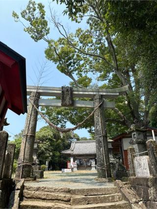 永尾神社の参拝記録(おかちゃんさん)