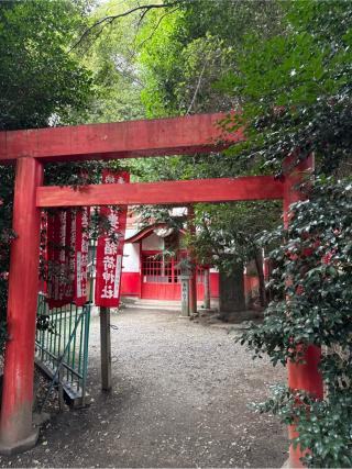 伊勢豊受稲荷神社の参拝記録(⛩️🐍🐢まめ🐢🐍⛩️さん)