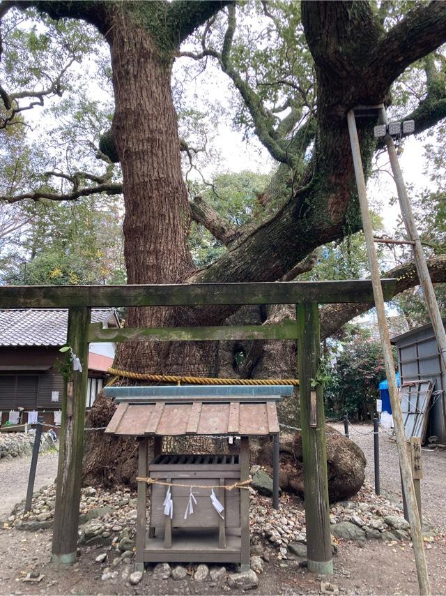 楠神社の写真1