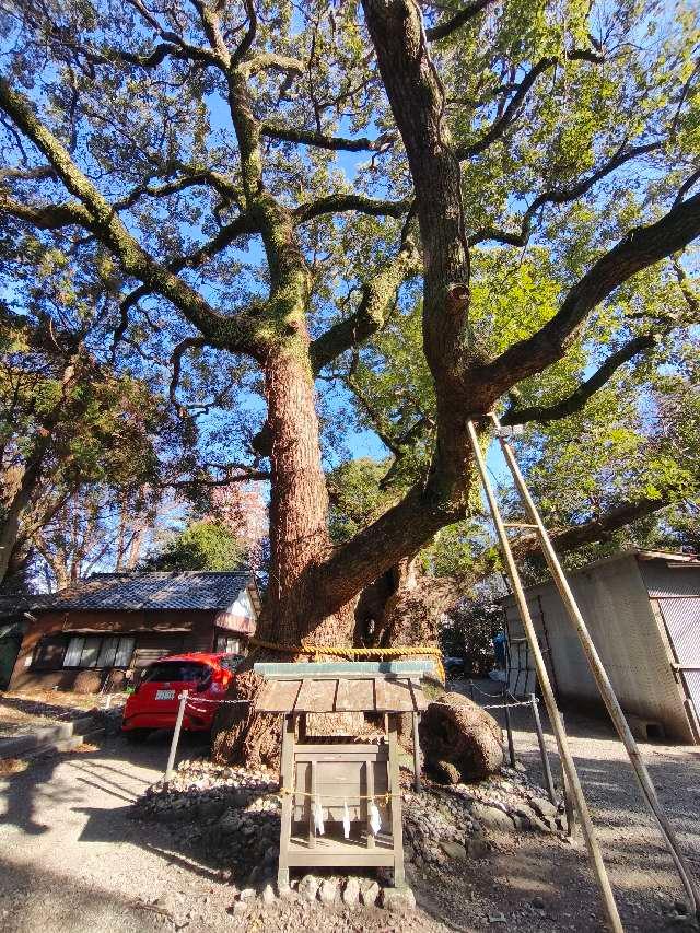 三重県伊勢市岩渕1-14-25 楠神社の写真2