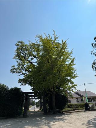 金立神社下宮の参拝記録(たにさちさん)