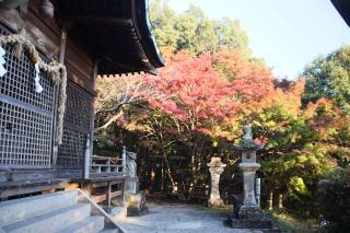 須賀神社の参拝記録(軍畑先輩さん)