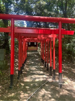 須賀神社の参拝記録(おくらさん)