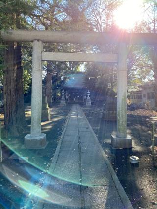 神明社の参拝記録(トモッチさん)