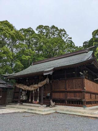 伊豆神社の参拝記録(こまいぬおさん)