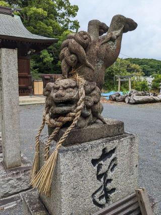 伊豆神社の参拝記録(こまいぬおさん)