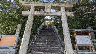 伊豆神社の参拝記録(あずき島さん)