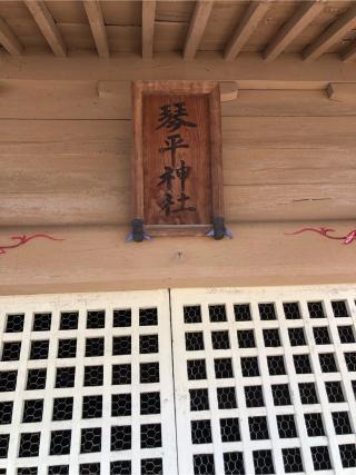 琴平神社の参拝記録(こーちんさん)