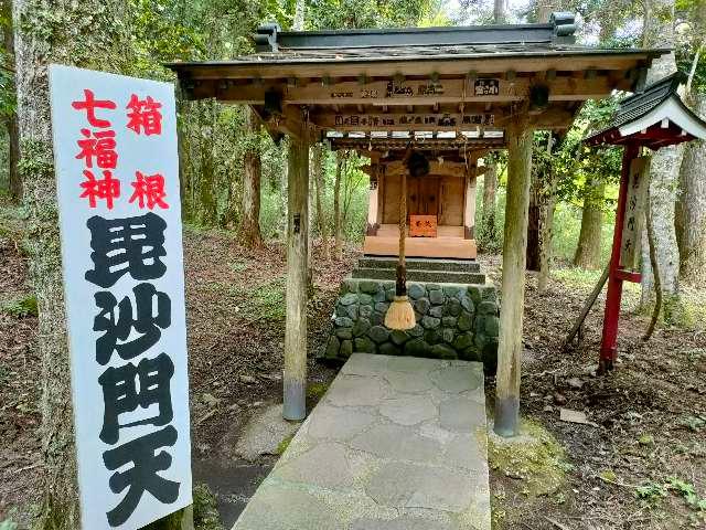 毘沙門天社(駒形神社境内社)の参拝記録8