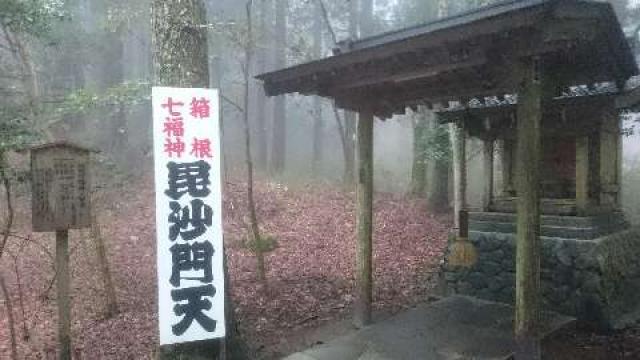 神奈川県足柄下郡箱根町箱根290 駒形神社 毘沙門天社（駒形神社境内社）の写真2