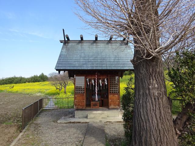 埼玉県比企郡吉見町久保田新田198 神明神社の写真1