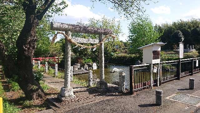 埼玉県坂戸市塚越215付近（大宮住吉神社境外） 厳島神社の写真3