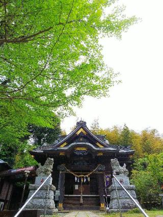 小野神社の参拝記録(またたびさん)