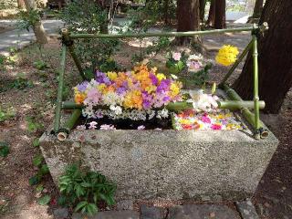 五所明神社の参拝記録(まささん)