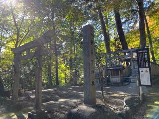 荒祭若宮神社の参拝記録(あまぞんさん)