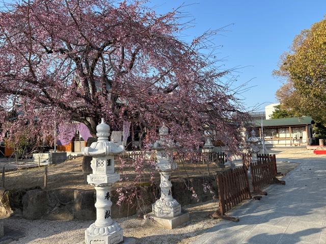 観音神社の参拝記録3