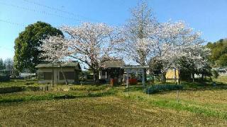 小山田神社の参拝記録(植木屋さん)