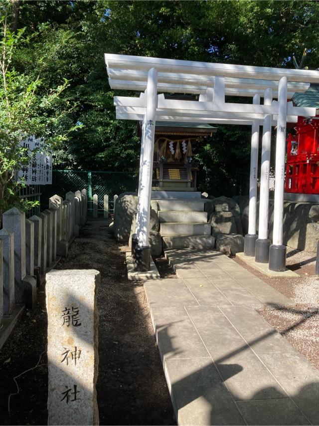 川名龍神社の参拝記録1