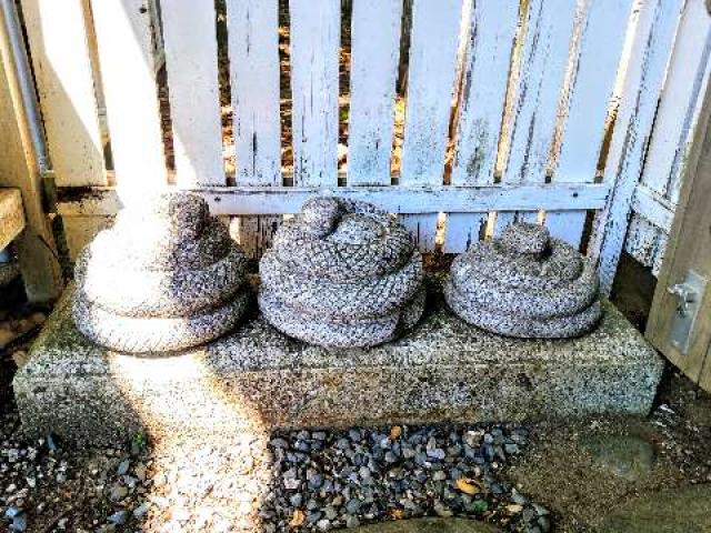 川名龍神社の参拝記録9