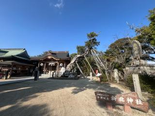 新北神社の参拝記録(みんきちさん)