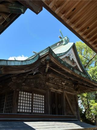 新北神社の参拝記録(ほちさん)